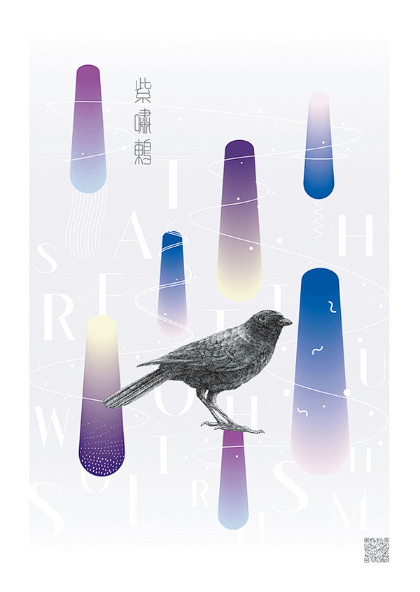 寻声鸟创作--台湾特有鸟类海报设计_ 艺...
