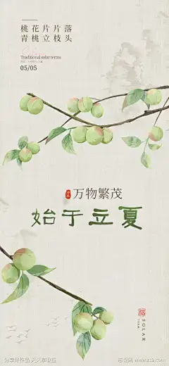 立夏二十四节气海报_源文件下载_PSD格式_1080X2340像素-桃子,海报,二十四节气-作品编号:2025041113458680-志设-zs9.com