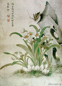 猫夏的我采集到画