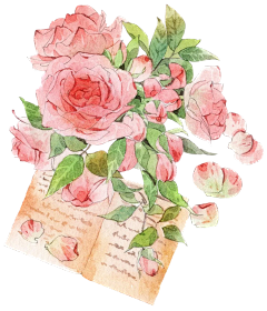 豆腐馋了采集到花插画