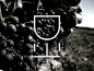 Cégér - Design for a good wine - competition #2 / 2013 on Packaging Design Served
