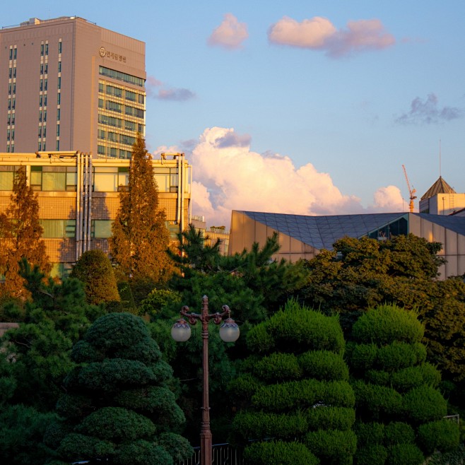Photo by Yonsei Univ...