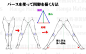臀部股关节の基本结构 ​​​