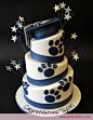 Decorated Cakes » For Bar Mitzvahs, Baby Showers & Birthdays page 13