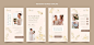 Flat wedding planner instagram stories collection