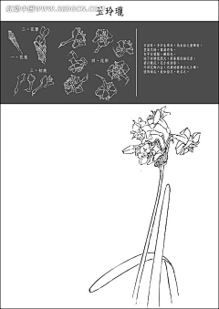 Turing冬采集到ABX