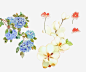 古风花卉花朵手绘高清素材 叶子 排版 春天 繁花 绿叶 免抠png 设计图片 免费下载