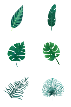 !再见野鼬鼠采集到png植物