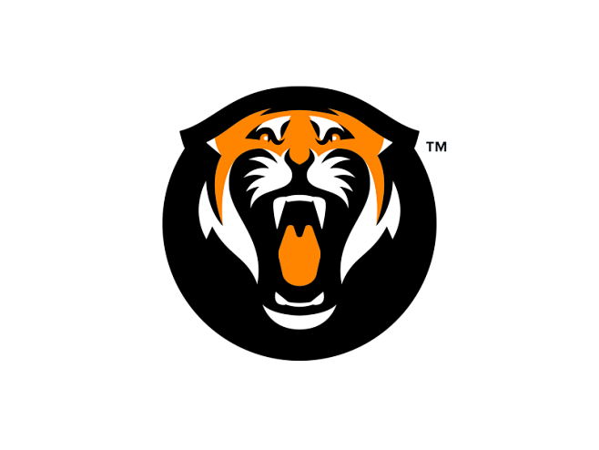 Big cat