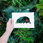 Nikolai Tolstyh喜欢在纸上剪一些可爱小动物的剪影并将其与彩色的自然场景相结合，效果好美~~[心][心][心]