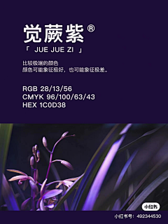 巴寻采集到颜色