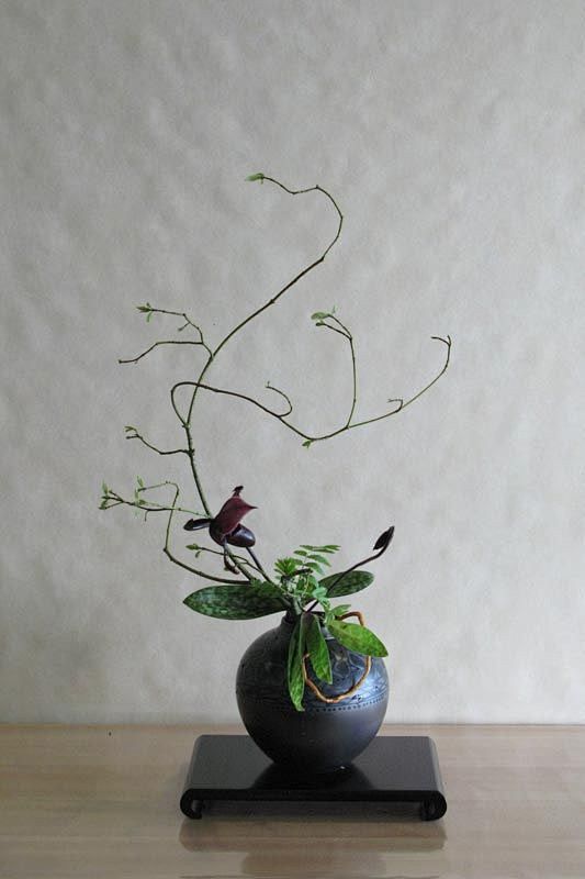 Ecole d’ikebana Ohar...