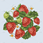 背景红草莓。浆果和树叶的插图