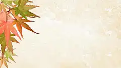 贺卡 秋天 枫 树叶 装饰