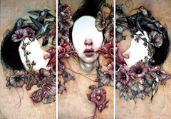 TRACY199331采集到Marco Mazzoni