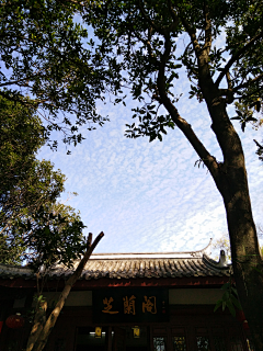 喂鱼喂采集到福州蓝·于山行