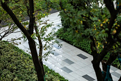 慕辞A采集到园路步道