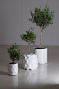 可变大的GROWTH折纸植物盆栽 | Studio Ayas 生活圈 展示 设计时代网-Powered by thinkdo3