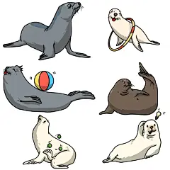 手绘表演杂技海狮简单海豹动物插画元素