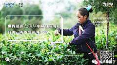 kreimuk1采集到助农海报