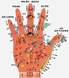 手诊图片大全-手诊高清好看的图片--花瓣fqb8CtwB的画板