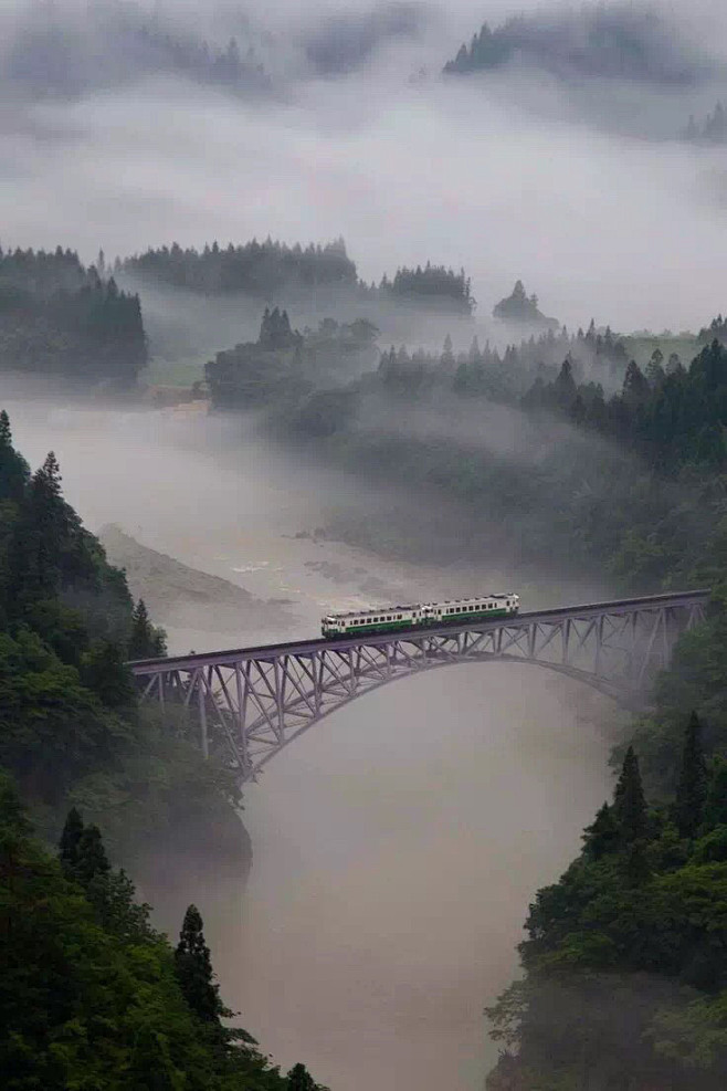 浓雾留白
让全世界的风景
沾染上中国画的...
