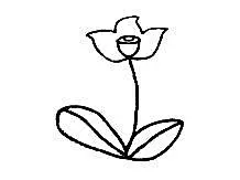 花朵简笔画