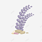 手绘紫色水草礁石 设计图片 免费下载 页面网页 平面电商 创意素材