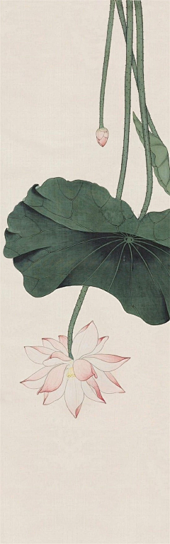 HansonYi采集到精美插画