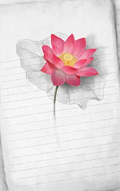 小小彤  的插画 花绘