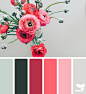 Design Seeds : Your daily dose of inspiration ... for all who love color.