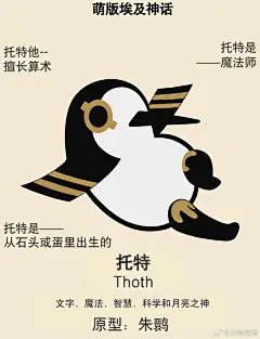 来自分享