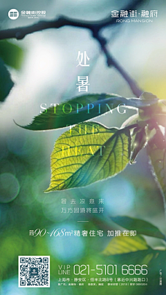 半杯莲子采集到处暑