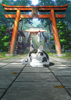 M莫里斯采集到场景