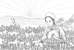 周荣程采集到插画背景