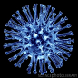 H1N1 flu virus particle