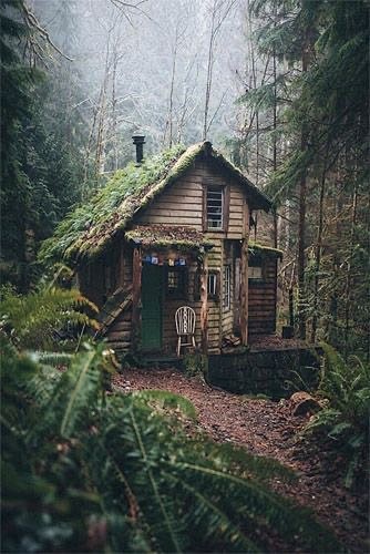 森林小屋｜插画实物参考素材｜建筑