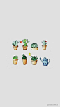 Cactus (versão para celular)