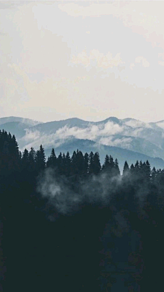 ironyk采集到场景