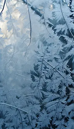 冰窗花冰凌唯美冬季氛围AI摄影图
