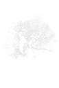 水花