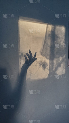 言三儿采集到新GS