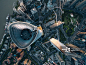 Aerial View Of Shanghai - 创意图片 - 视觉中国