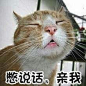 来自分享