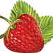 png 草莓 (7)
