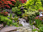 チェルシーフラワーショー2015　江戸の庭 asian-garden