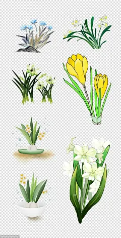 源文件-鲜花 植物 花瓶 栽种 环保 绿化 PNG免扣设计素材