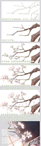 绘画教程丶樱花i