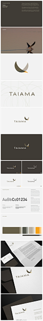 Taiama的企业品牌形象设计。