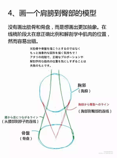薏格采集到人体 光影